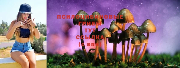 шишки Алексин