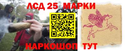 молекула духа Гатчина