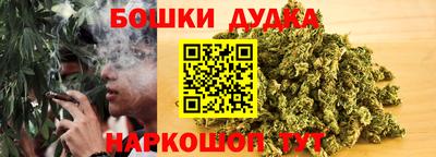 молекула духа Гатчина