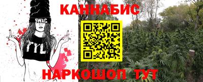 спайс Гай
