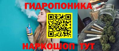 спайс Гай
