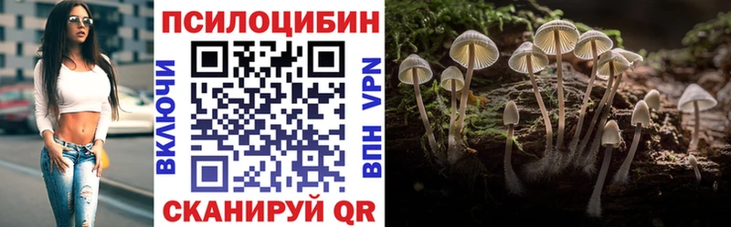 купить наркоту  KRAKEN как зайти  Псилоцибиновые грибы MAGIC MUSHROOMS  Магнитогорск 