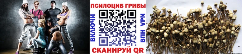 Галлюциногенные грибы GOLDEN TEACHER Магнитогорск