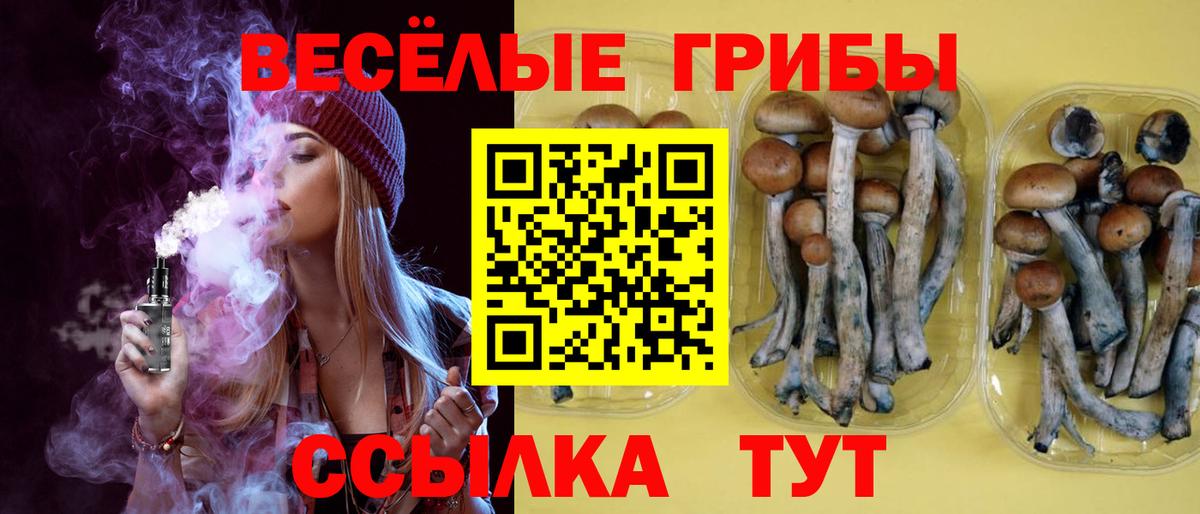 Галлюциногенные грибы GOLDEN TEACHER Магнитогорск