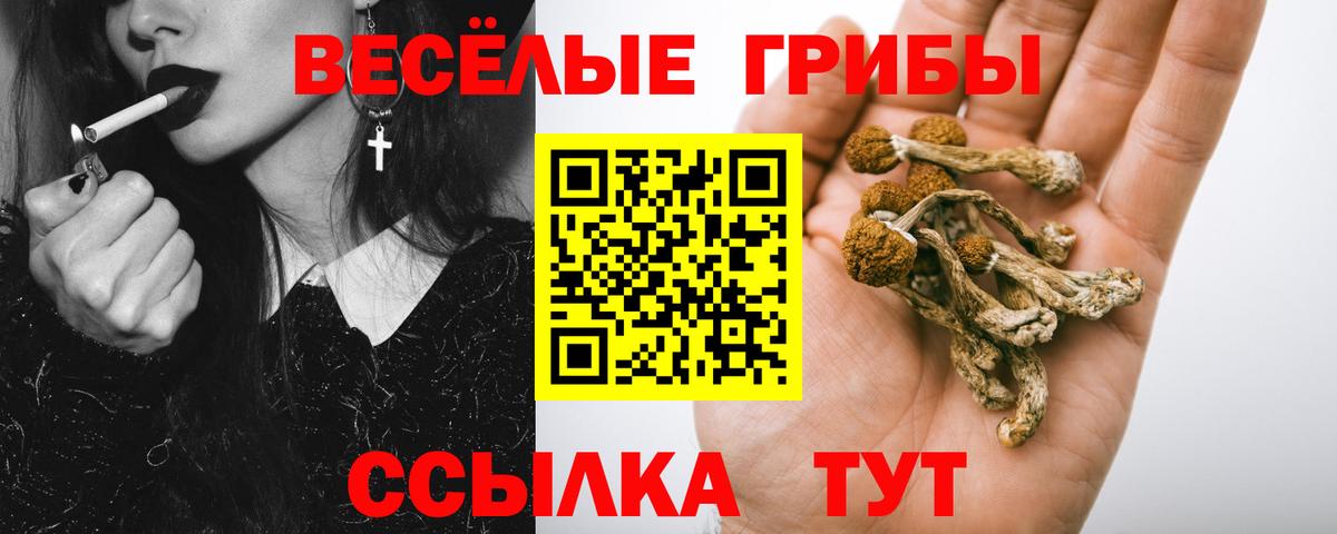 Магнитогорск  Галлюциногенные грибы Psilocybe  Вход с VPN 
